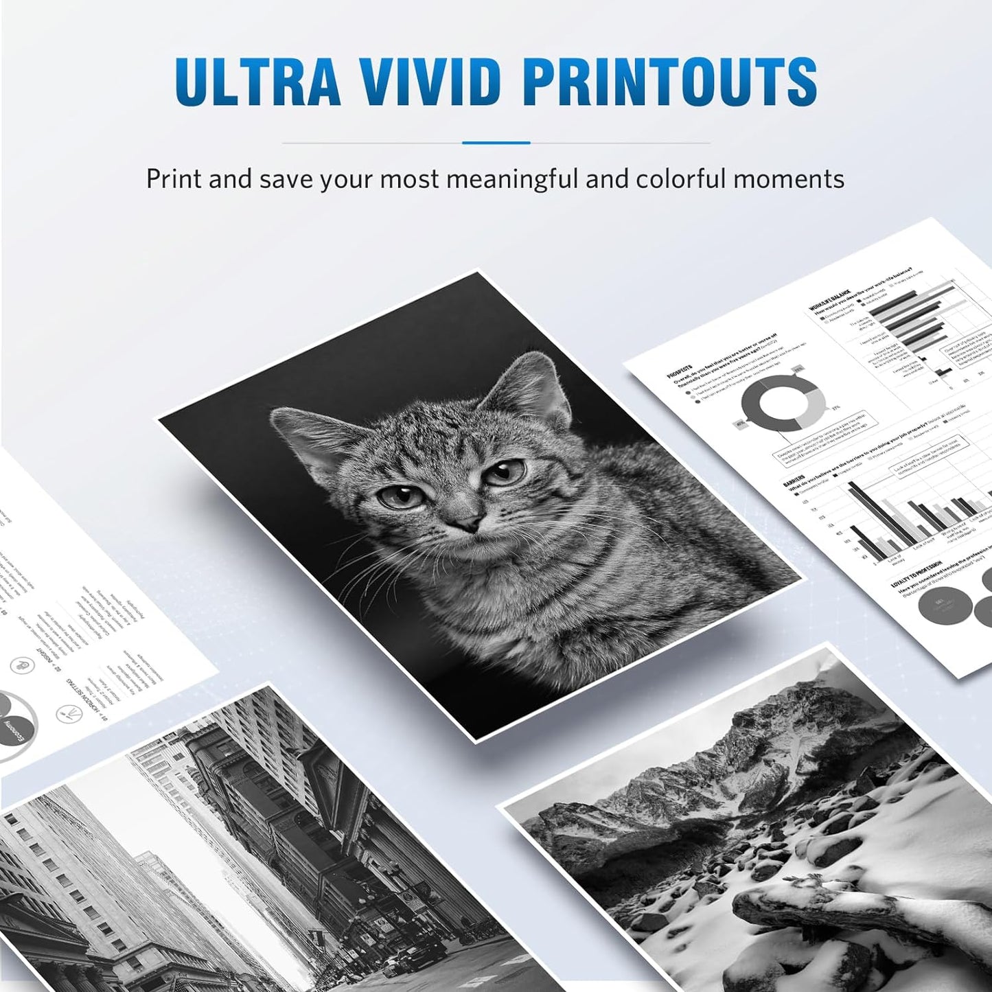 210X Black High-Yield Toner Cartridge Compatible Replacement for HP 210X 210A W2100X W2100A Works for HP Color Pro 4201 MFP 4301 Series MFP 4301dw 4301fdn 4301fdw 4201dw 4201dn Printer 2-Pack Black