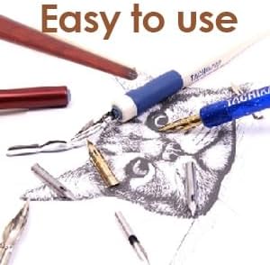 10 Pcs Dip Pen Set Nib Pen Holder Comic Dip Wooden Pen Nib Holder for Art Painting English Calligraphy (Annatto Color)