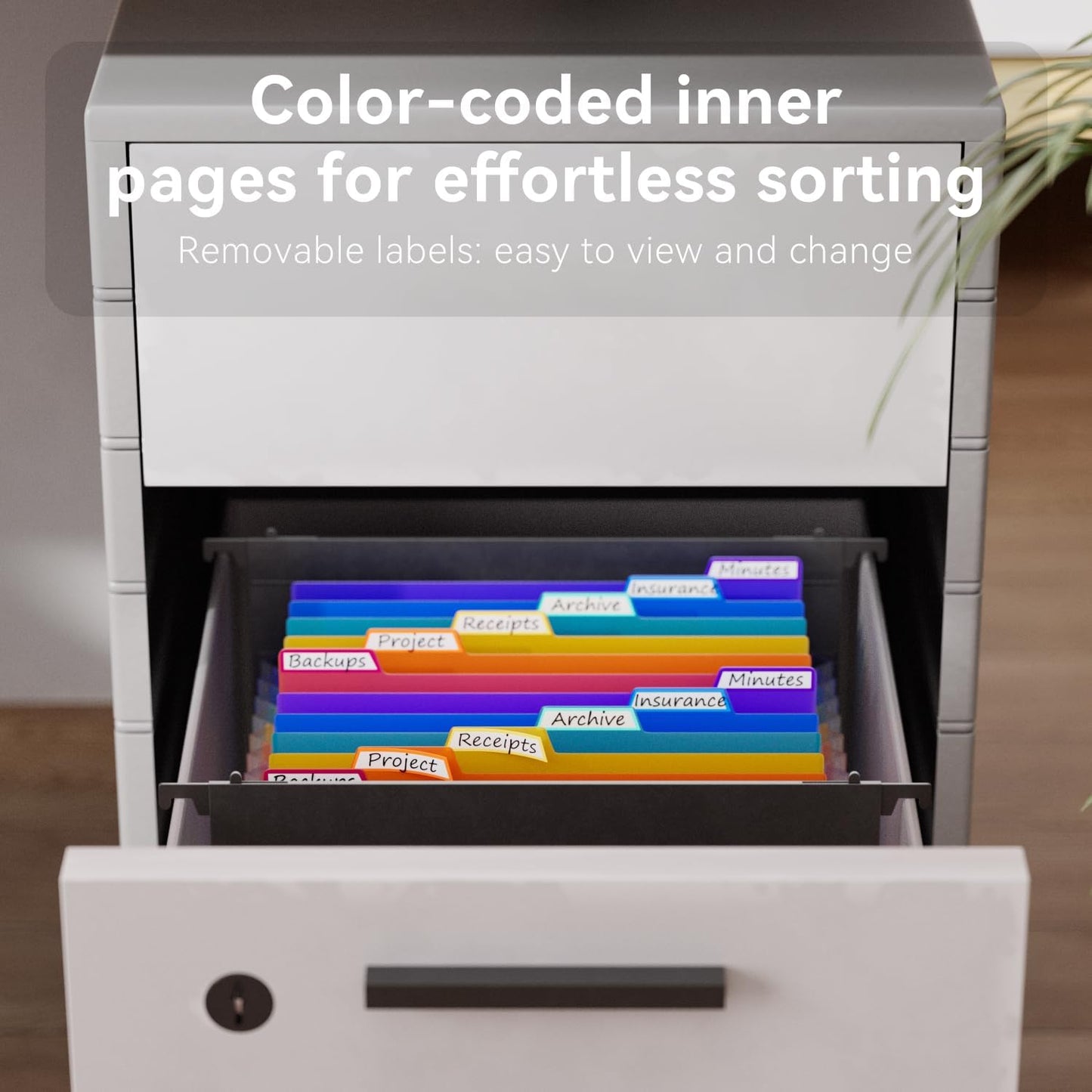 ThinkTex Plastic Expanding Hanging File Folders,12 Accordion Pockets,Large Capacity for Letter Size, Organizer for Filing Cabinet,Ideal for Tax,Contracts,Invoices,for Office,School & Home,Black