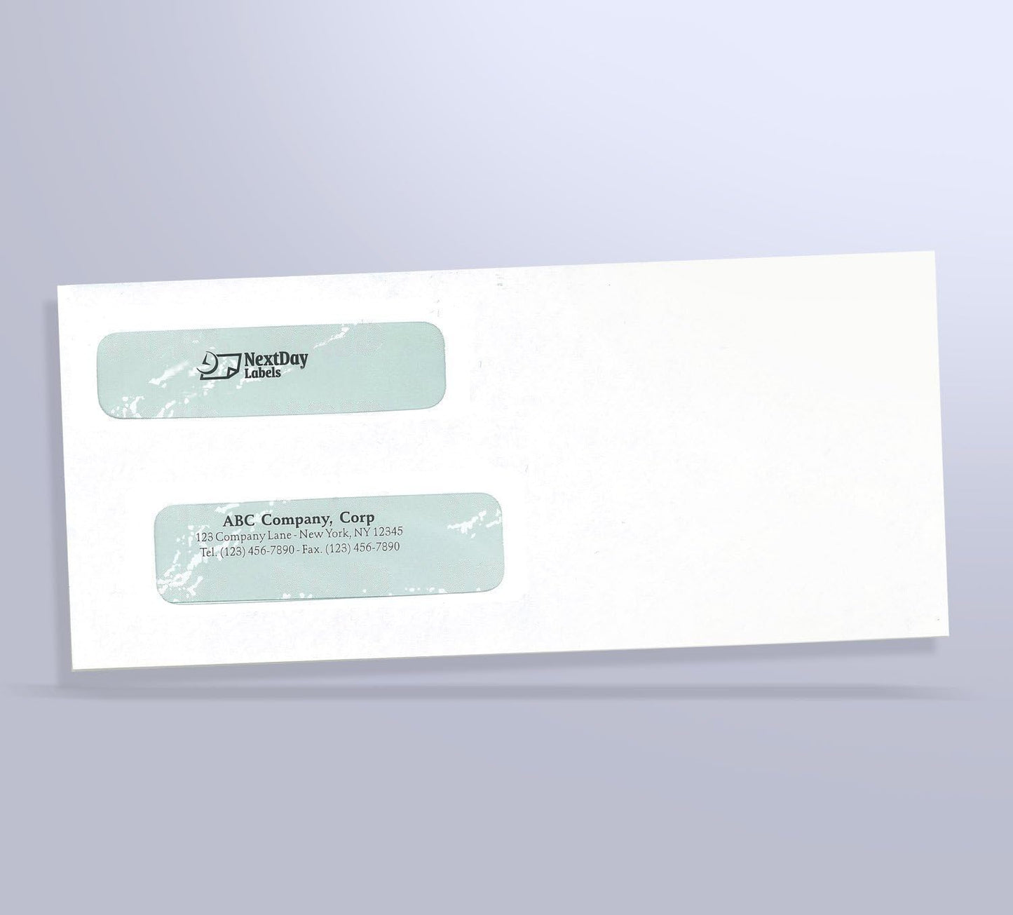 100 Double Window Security Check Envelopes - Compatible with QuickBooks and Other Checks