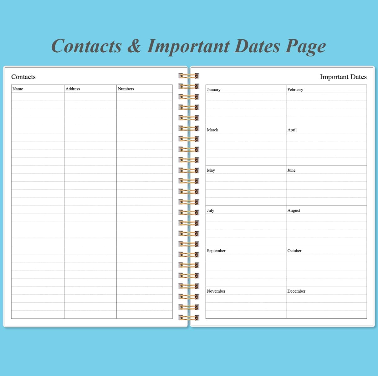 Daily Planner Undated - A5 To Do List Notebook Hourly Schedules, Spiral Appointment Planner for Women and Men, PVC Hardcover, Inner Pocket, Elastic Closure, 5.8" x 8.3", Blue Watercolor