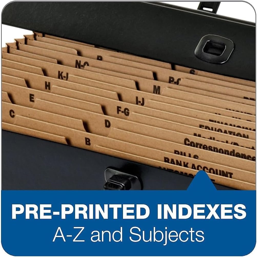 Pendaflex Globe-Weis 19-Pocket File Express Case (11170) (Colors May Vary),Assorted Colors, Legal