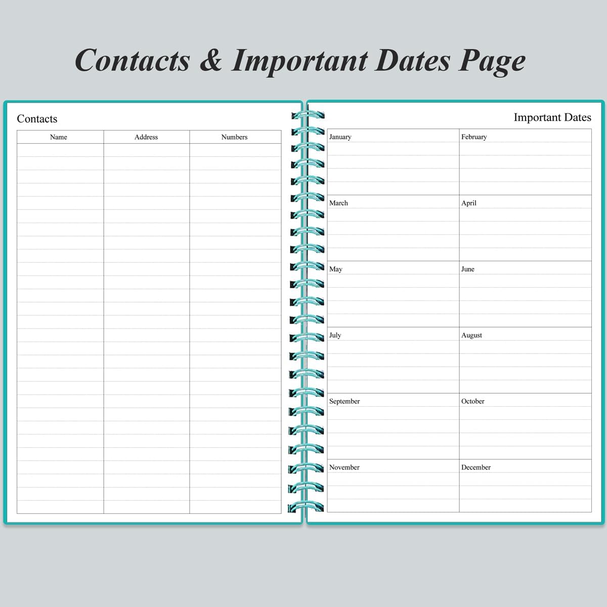 Daily Planner Undated - B5 To Do List Notebook Hourly Schedules, Spiral Appointment Planner for Women and Men, PVC Hardcover, Inner Pocket, Elastic Closure, 7" x 10", Teal