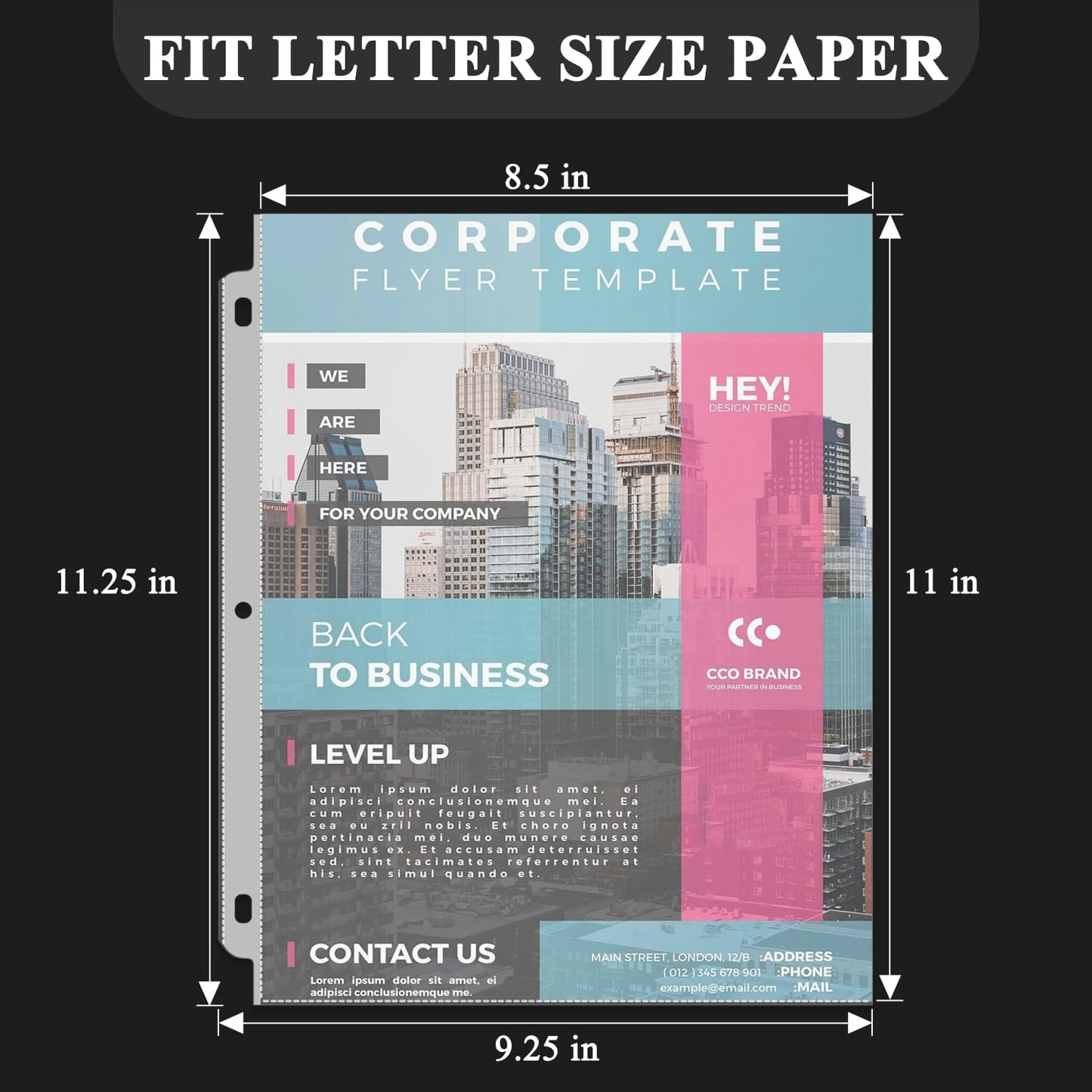 Clear Sheet Protectors for 3 Ring Binder, Plastic Sleeves for Paper 8.5x11, Heavy Duty Page Protectors for 3 Ring Binder, Top Loading Paper Protector for Documents and Photos,Letter Size.