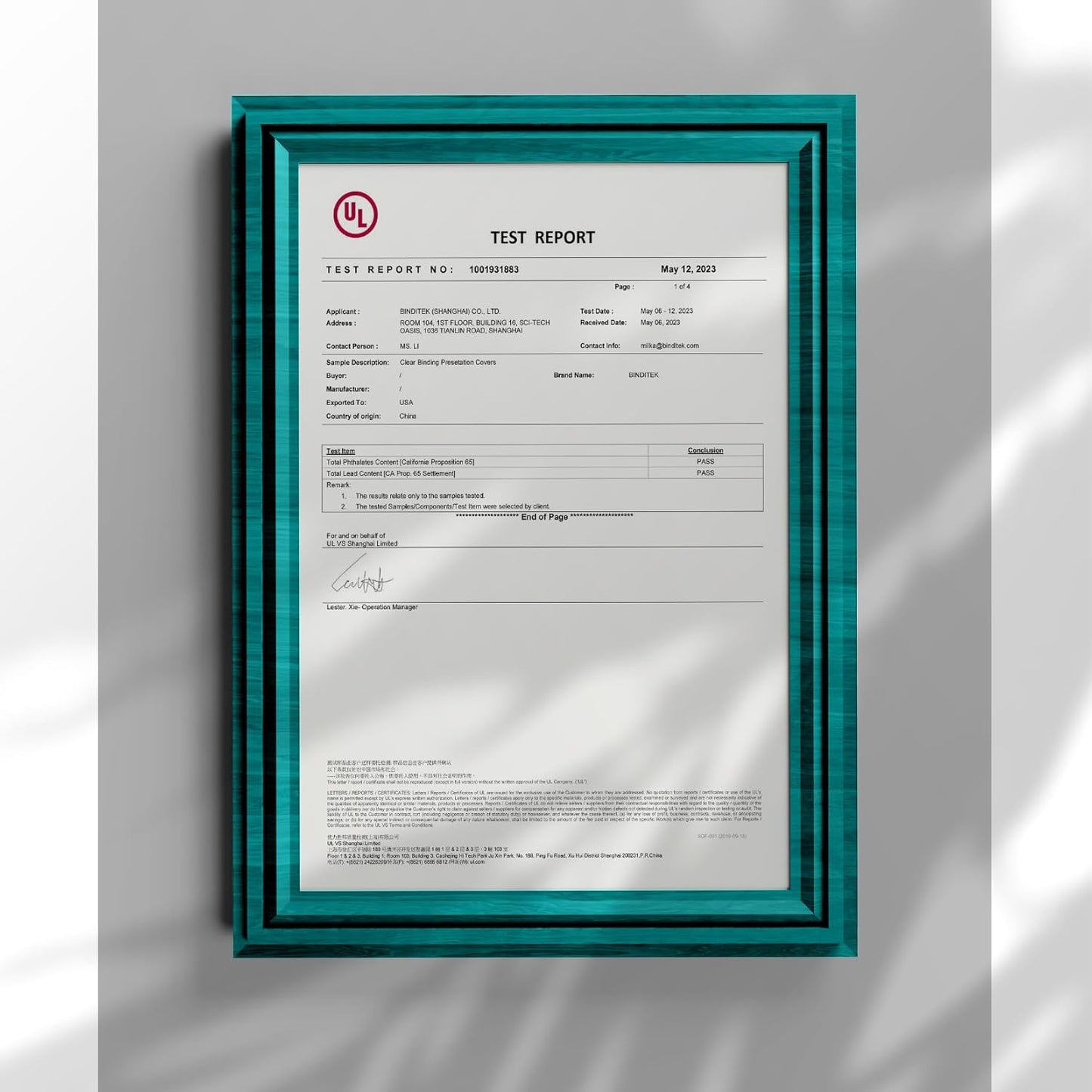 Binditek 200 Pack 8 Mil Clear PVC Binding Presentation Covers, Oversize, 8.75x11.25 Inches, Square Corner, Unpunched, Office School Supplies