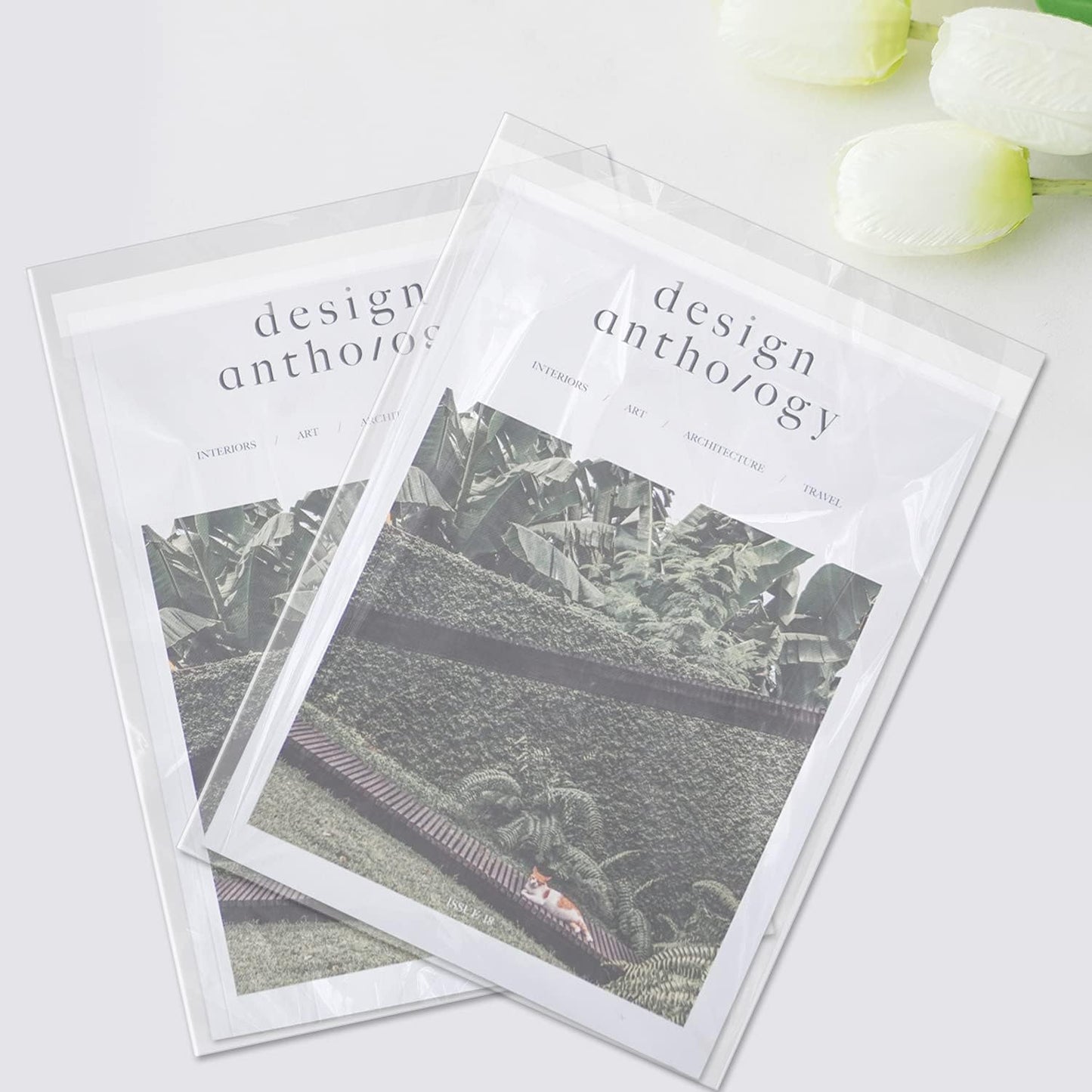 AUEAR 11" x 14" (100 Pack) Clear Plastic Sleeves - Acid Free 1.6mil Crystal Resealable Bags -Fit for 11x14 Prints, Photos, Documents, Clothing, T-Shirt