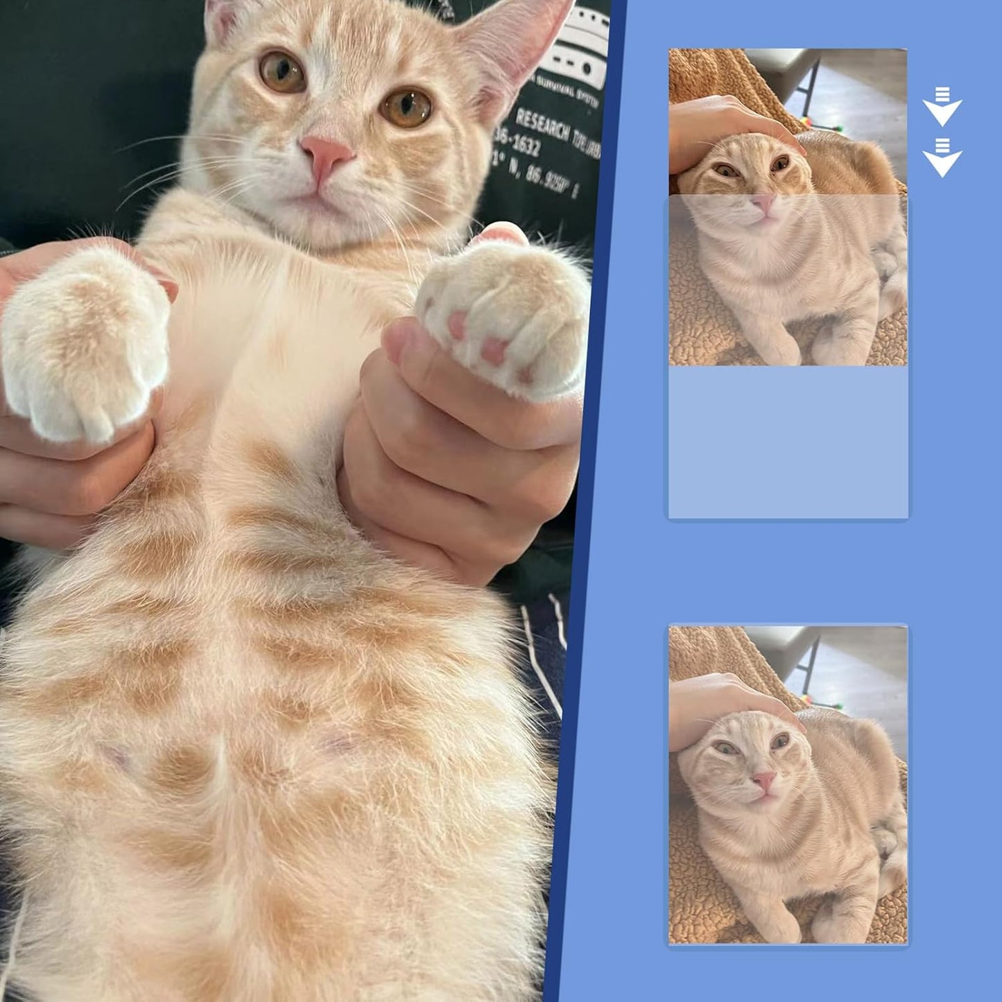 Rainmae 25 Pack 5" x 7" Rigid Print Protectors, Clear Waterproof Hard Plastic Page Sheet Protectors, B6 Paper Sleeves Photo Plastic Sleeves Hard Plastic Document Holder Birth Certificate Protector