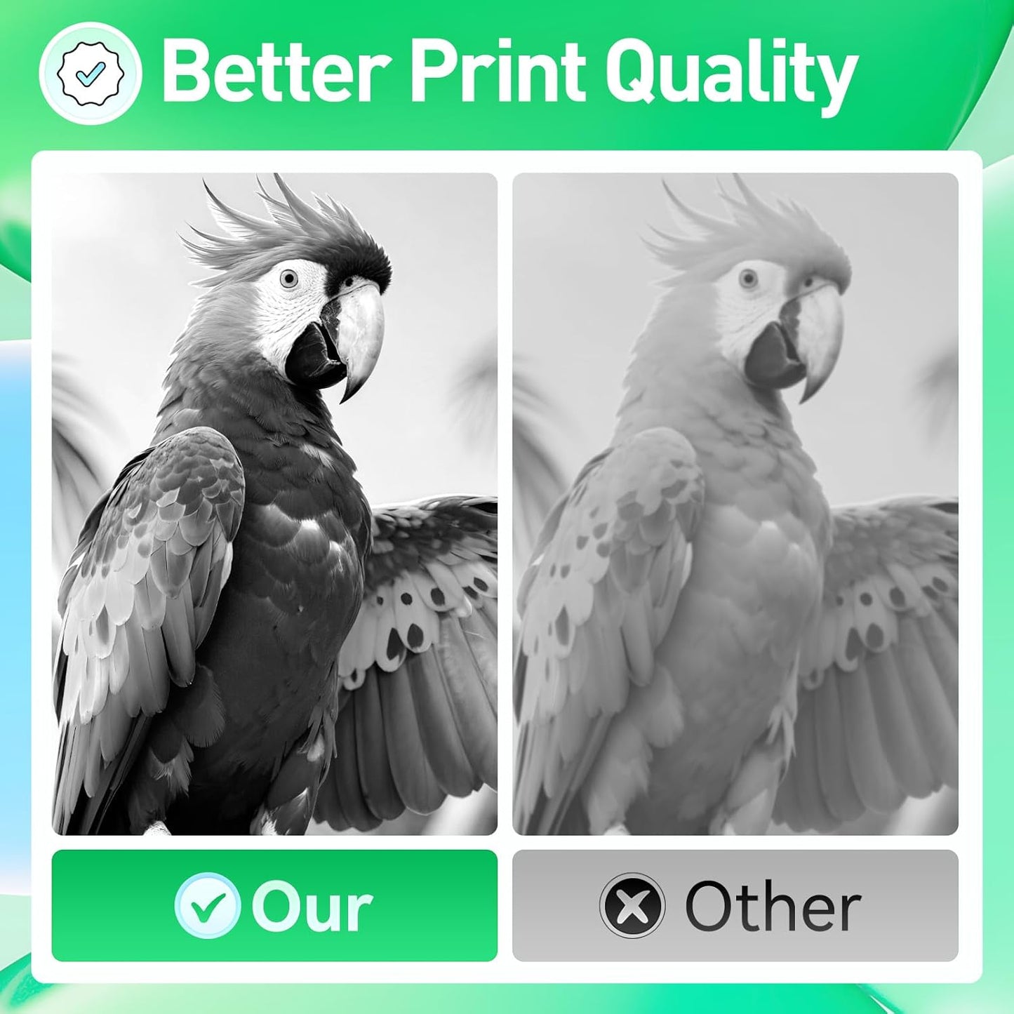 55B1000 Toner Cartridge with Chip Replacement for Lexmark 55B1000 55B1H00 Compatible with Lexmark MS331dn MS431dn MS431dw MX331adn MX431adn MX431adw MX432adwe MS331 MS431 MX331 MX431 Laser Printer Ink