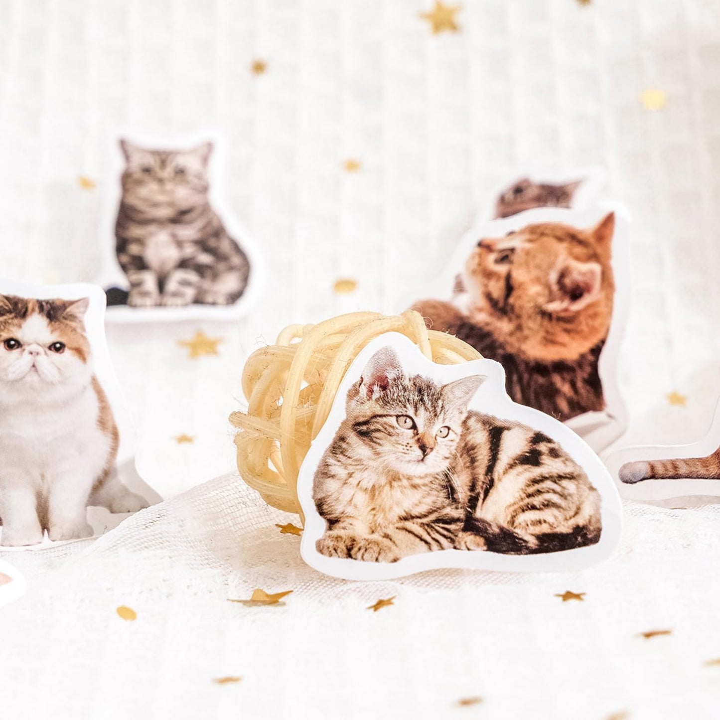 45 Pcs Small Cat Stickers for Scrapbook Kids Bullet Journal Notebook Planner Diary Collage Envelope Letter Laptop Water Case Bottle Phone DIY Craft Decoration