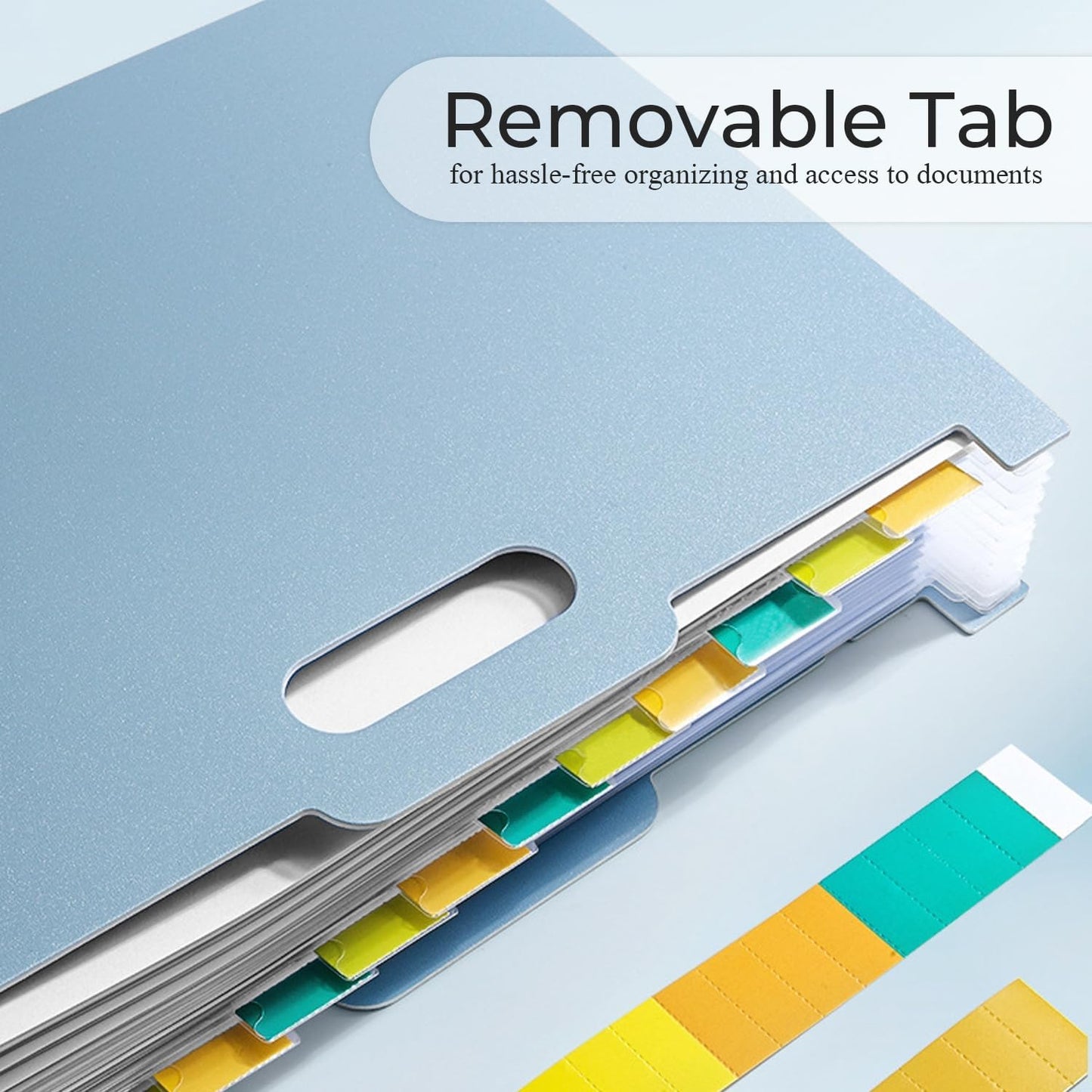 Y YOMA 2 Pack Accordion File Organizer with Handle 12 Pockets Expanding File Folder with Removable Tabs for A4 Letter Size Paper Plastic Filing Organizer Document Bill Receipt Holder, Blue