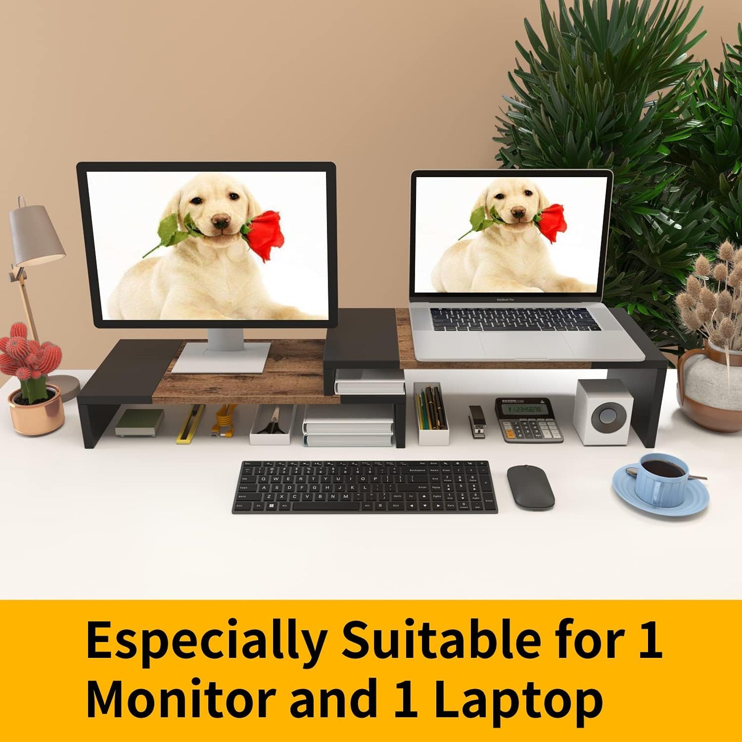 WESTREE Dual Monitor Stand - Riser 2 Shelf Computer with Adjustable Length and Angle, Stands for Monitors, Desktop Organizer PC, Computer, Laptop