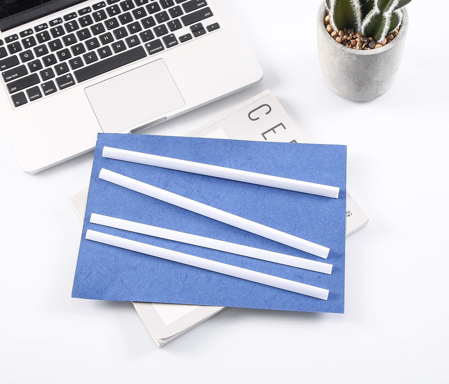 BNC Slide and Grip Binding Bars, 1/8 inches, White Color, Letter Size Pack of 100, 15 to 20 Sheet Capacity, Round Corner (1/8 Inches, White)