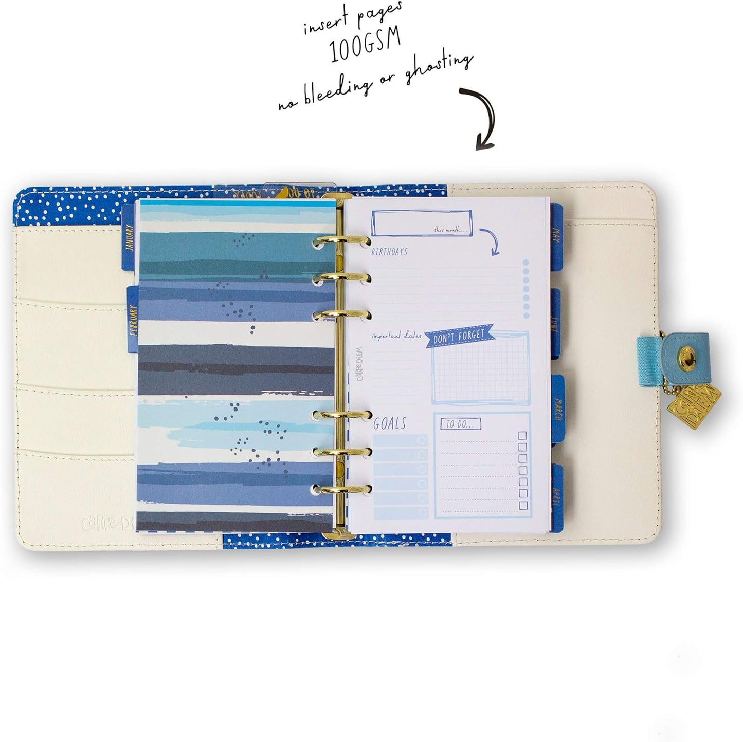 Pukka Pad, Carpe Diem Personal Planner with Weekly, Monthly Undated Inserts, 8 X 7.5 X 1.4 Inches, Feathers
