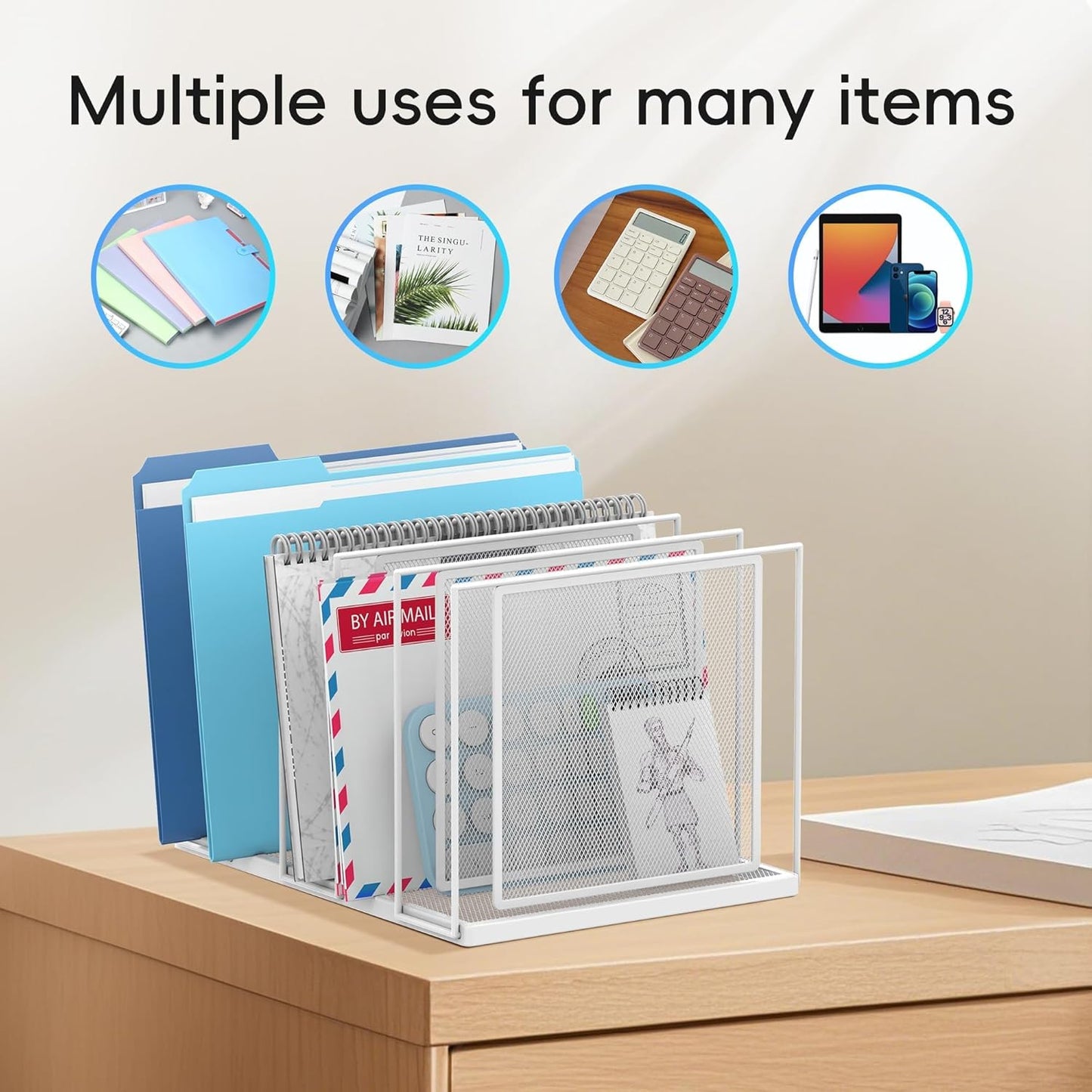 File Organizer for Desk, 5-Section Vertical File Sorter, Paper Holder Organizer Standing Metal File Folder for Office Home Classroom, White