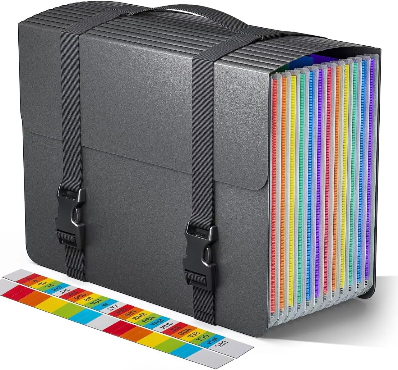 Accordion File Organizer,Expanding File Folders with Handle,12 Pockets Accordian Document Organizer Expandable Filing Box,Portable File Box for Paper Receipt Bill,A4/Letter Size,2 Tabs,Frosted