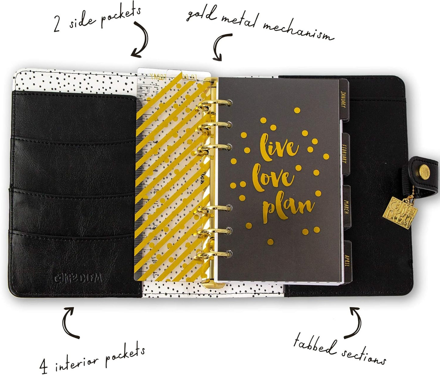 Pukka Pad, Carpe Diem Personal Planner - Soft Cover Binder with Weekly, Monthly Undated Inserts in Tabbed Sections, Interior Pockets and Sticker Sheets - 8 X 7.5 X 1.4 Inches, Buffalo Check